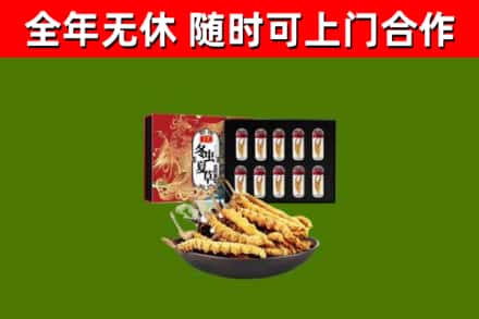 绥宁烟酒回收冬虫夏草礼盒.jpg